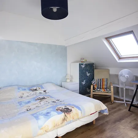 Convivial - Appt En Duplex Avec Jardin Apartament Lescar